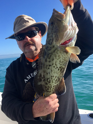 Angling Adventures Gag Grouper